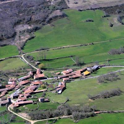 Aerea