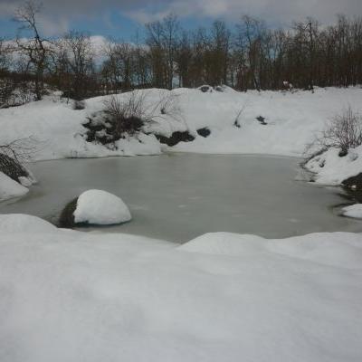 Nevada 2011 26
