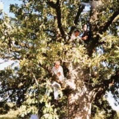 En El Arbol